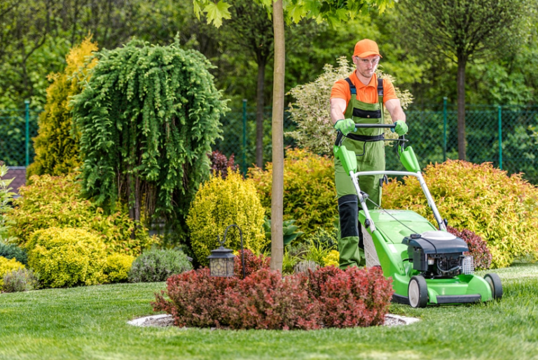 Grass Cutting Mississauga: Expert Lawn Care Services for a Pristine Yard